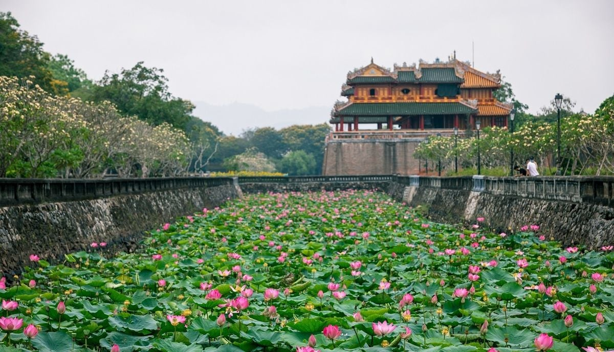 Hồ Tịnh Tâm