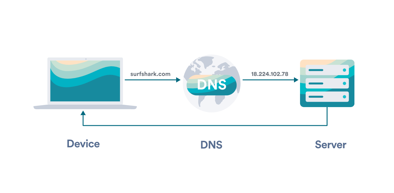 DNS và IP Address