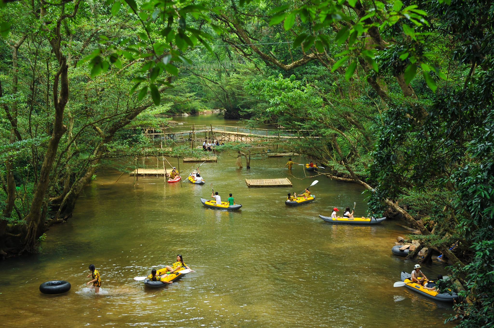 Công viên Ozo Treetop Park