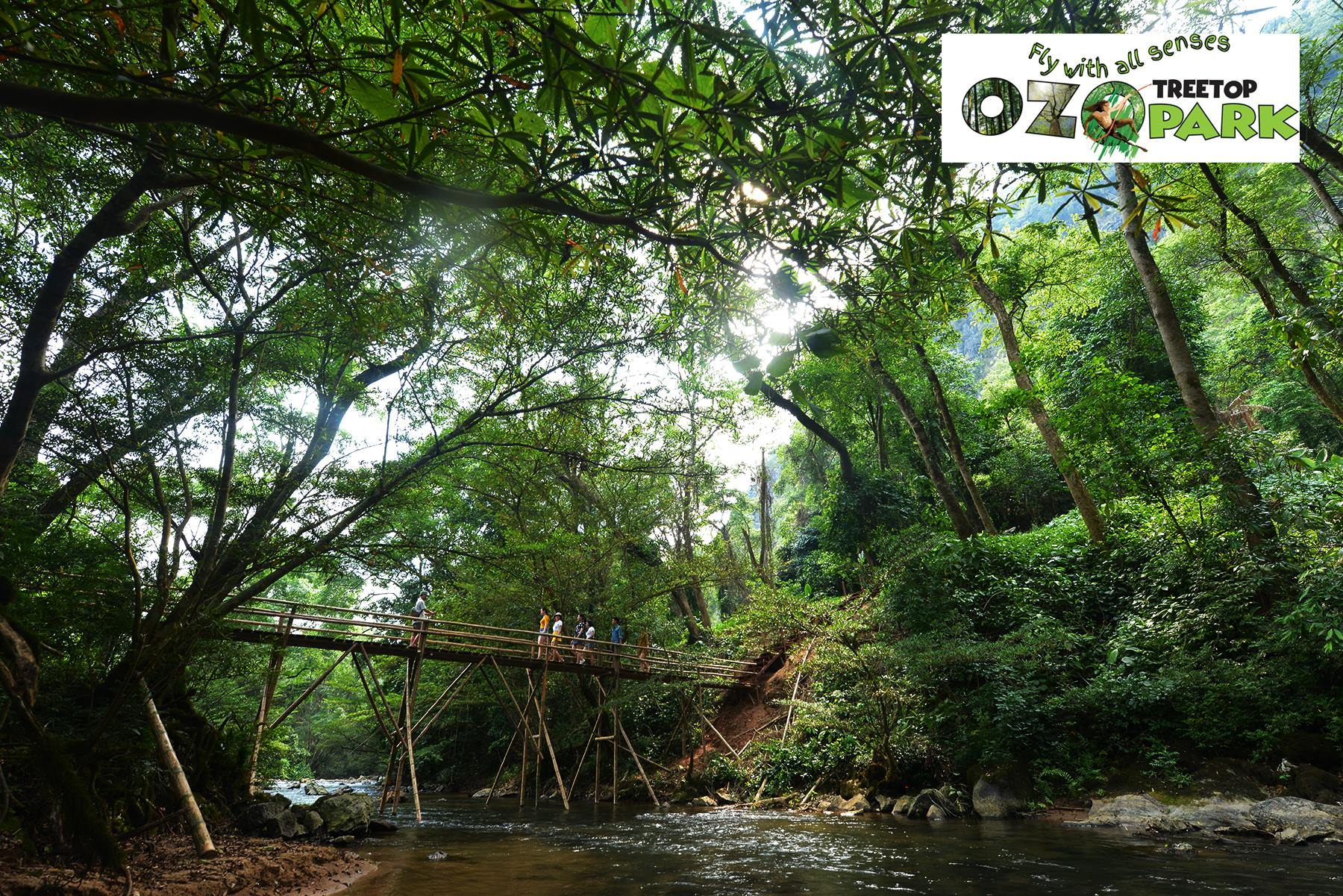 Công viên Ozo Treetop Park