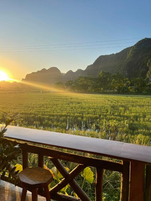 Tam Coc Windy Fields