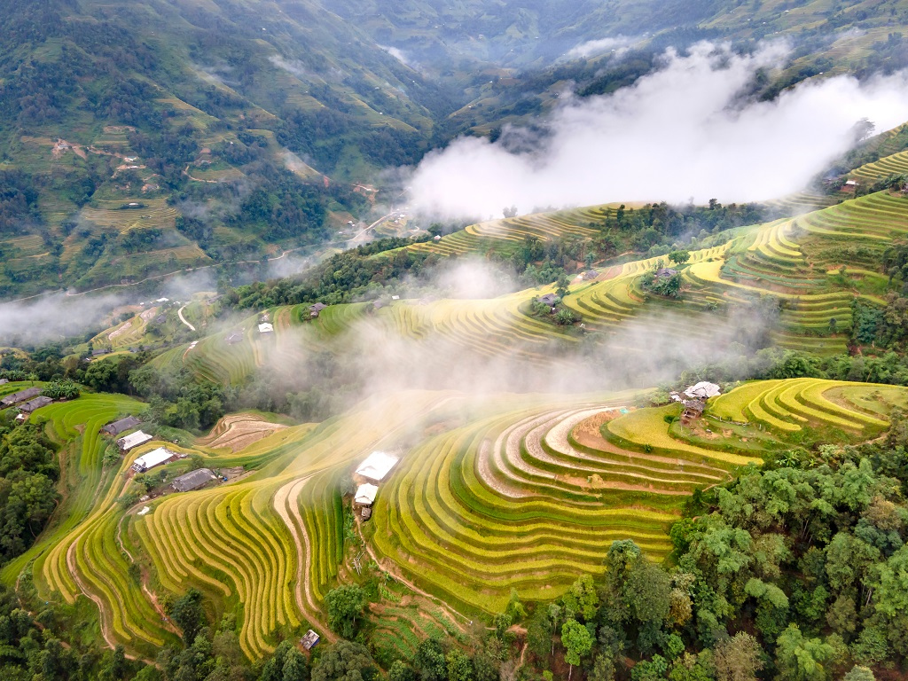 Hoàng Su Phì