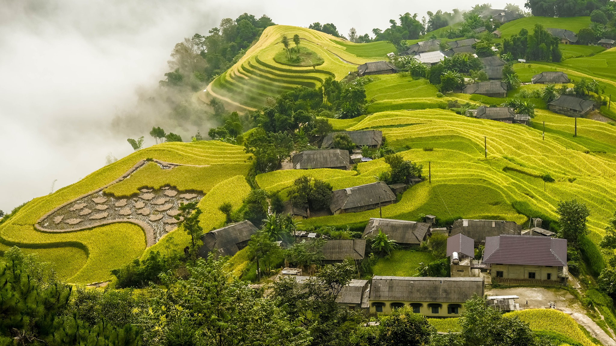 Hoàng Su Phì