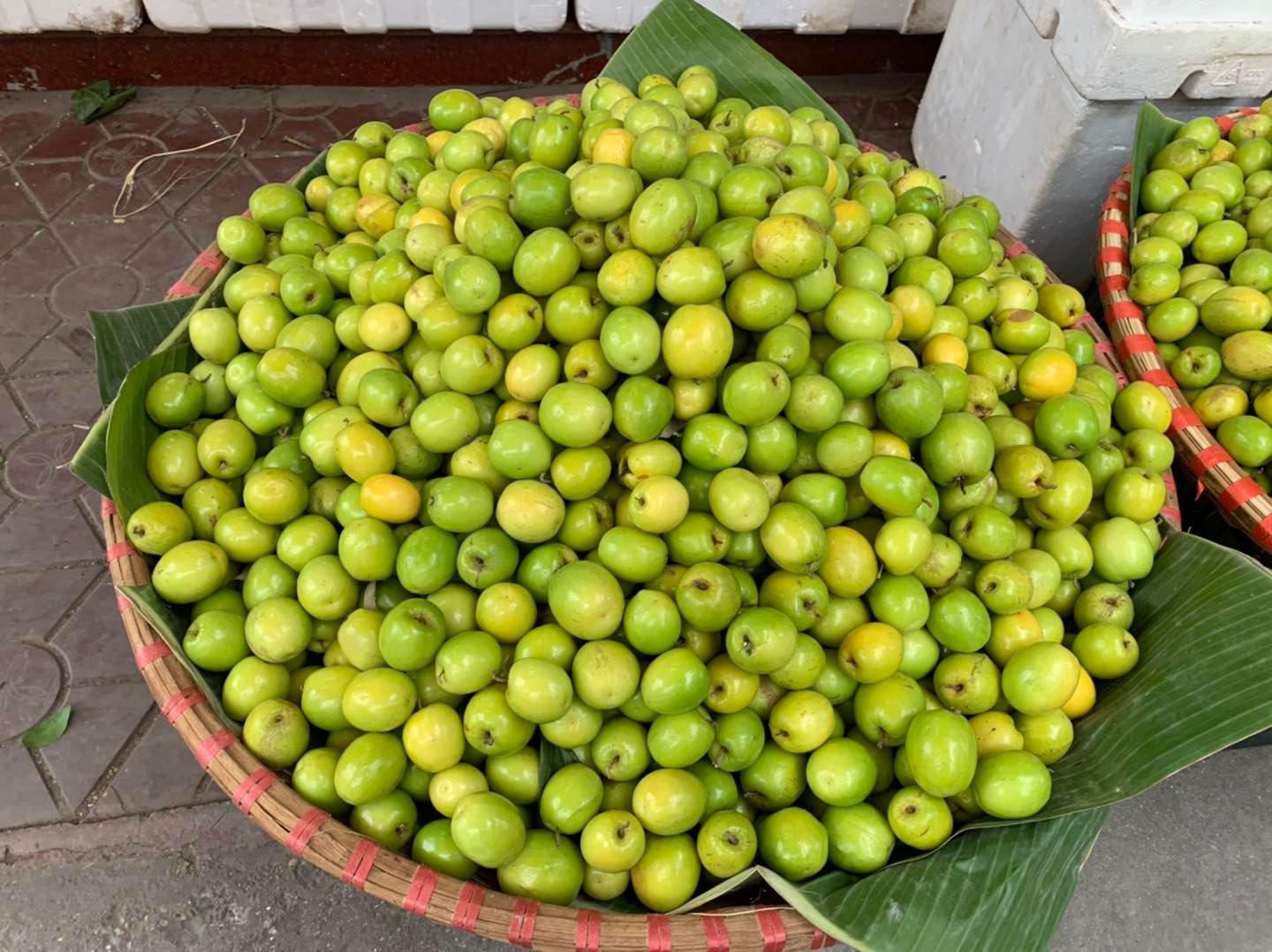 Táo Bàng La - Đặc sản Táo Muối Hải Phòng