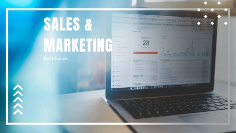 Sales & Marketing: Tạo sức hút thương hiệu