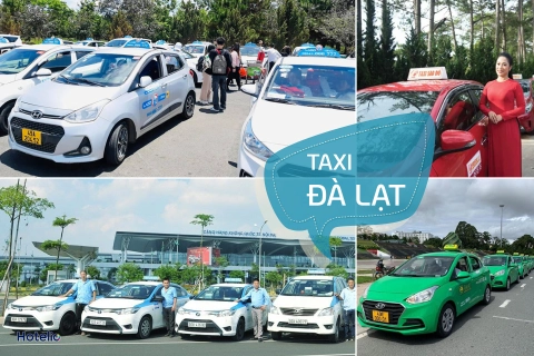 Taxi Đà Lạt - Review các hãng kèm số Hotline